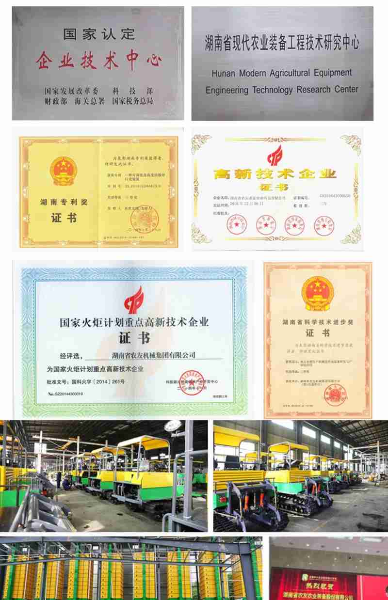 武夷山燕子窠生态茶园